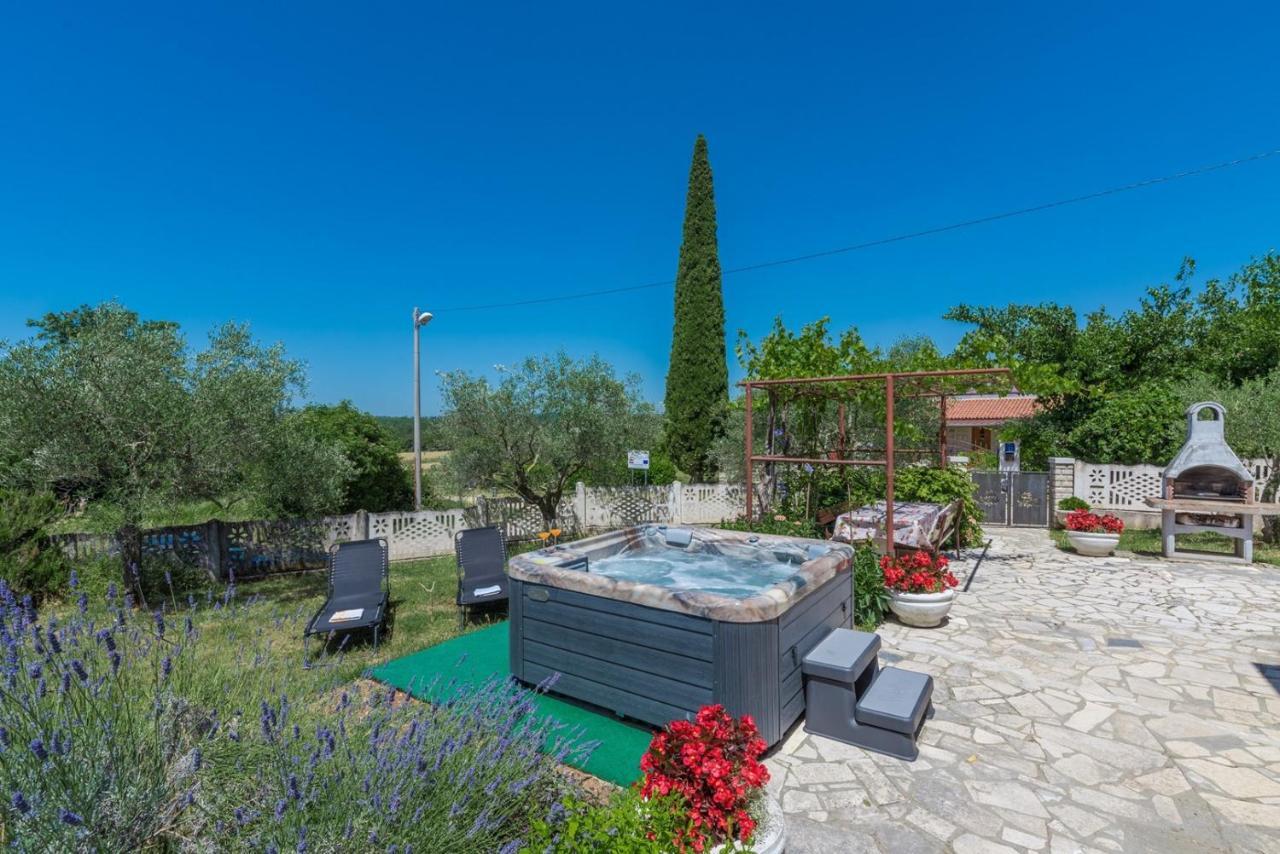 Ferienhaus Zora With Whirlpool Sveti Lovreč Pazenatički Εξωτερικό φωτογραφία