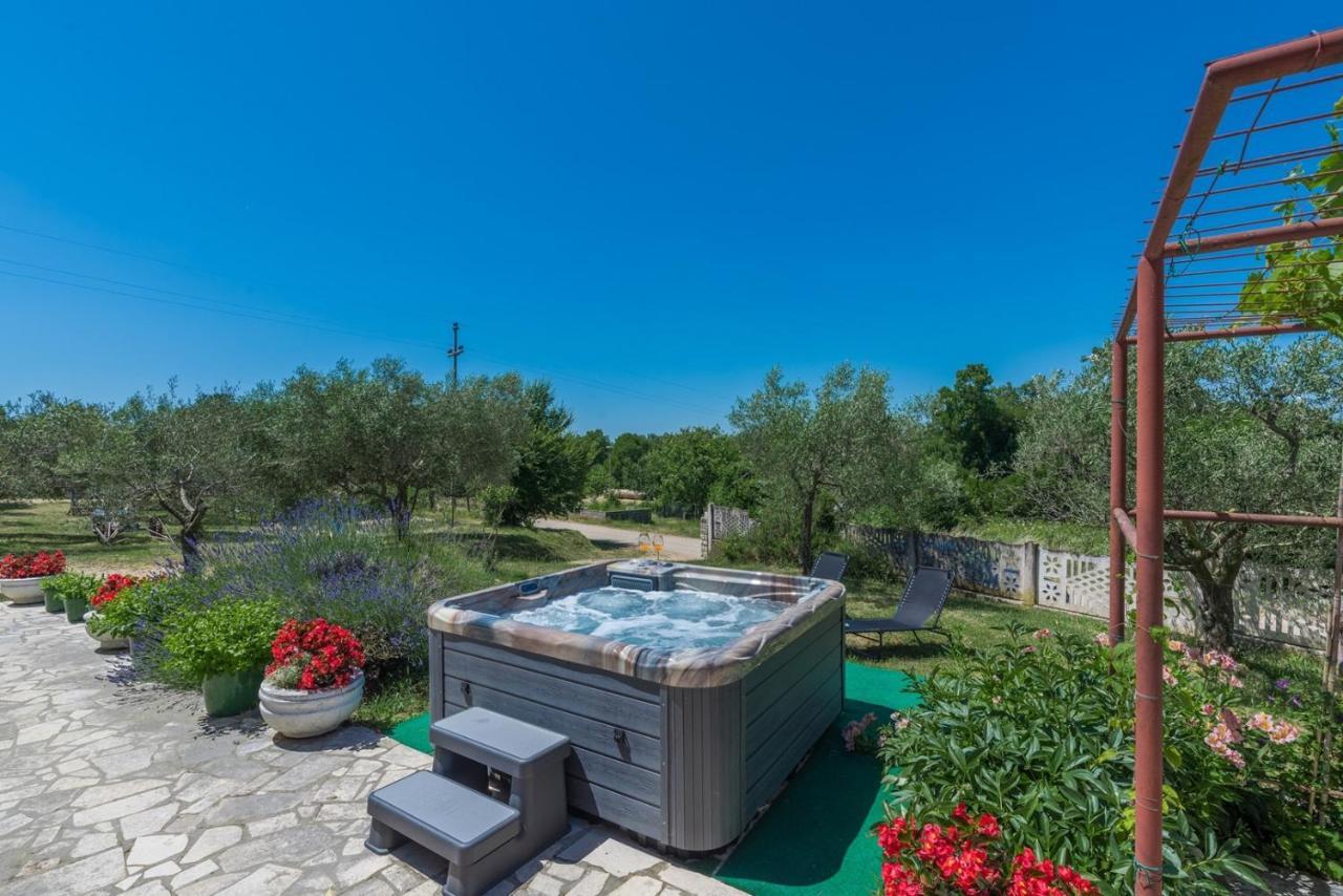 Ferienhaus Zora With Whirlpool Sveti Lovreč Pazenatički Εξωτερικό φωτογραφία