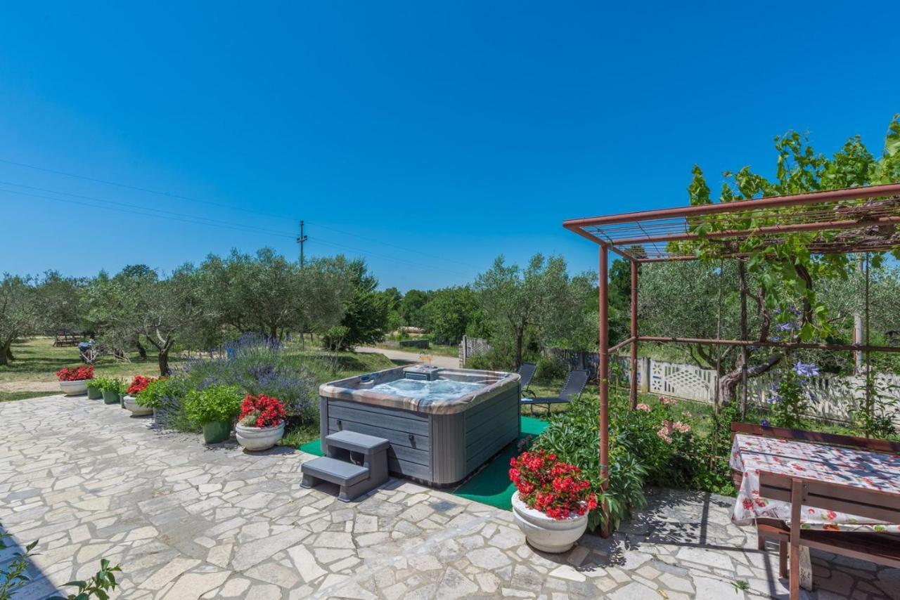 Ferienhaus Zora With Whirlpool Sveti Lovreč Pazenatički Εξωτερικό φωτογραφία